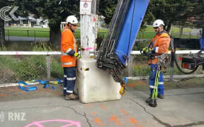 Dunedin power pole on lean needed replacing in 2015