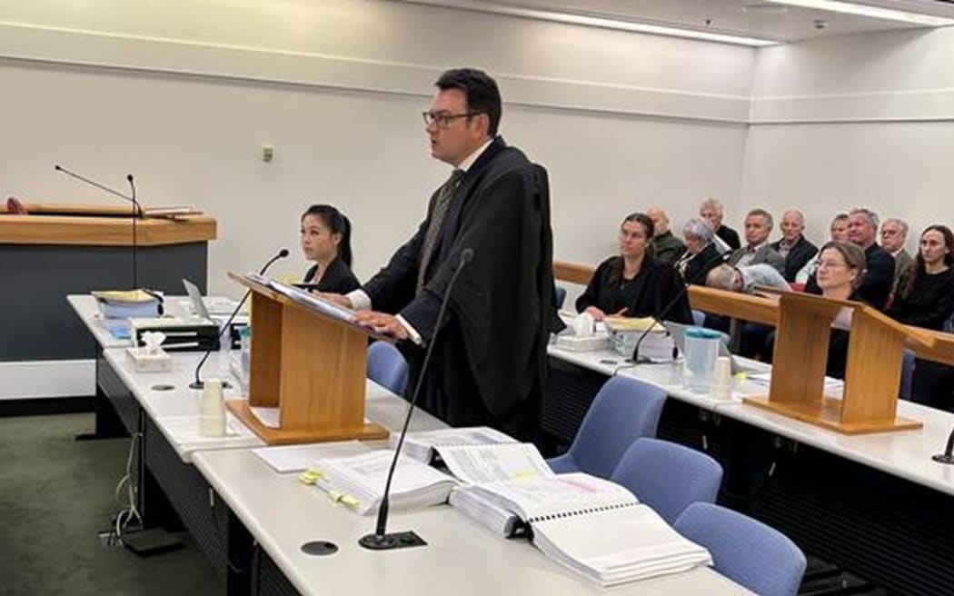 Lawyer for lobby group Save the City to Sea Bridge, Tim Smith addresses the Wellington High Court, 28 April 2025.
