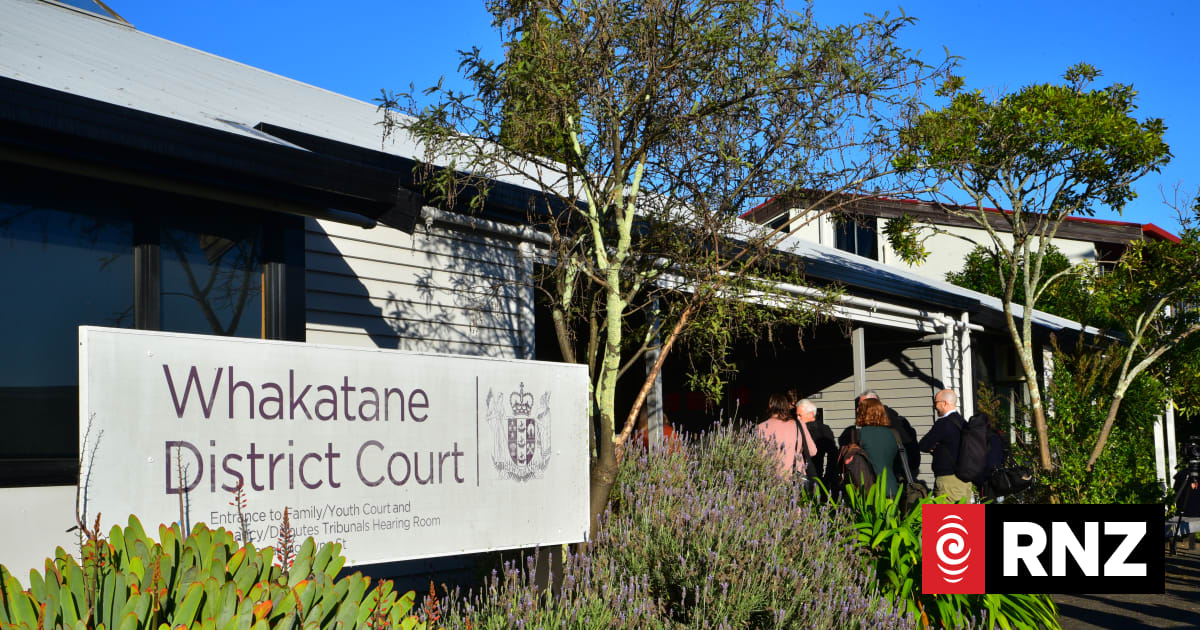 Teen pleads guilty to charges relating to serious assault in Edgecumbe
