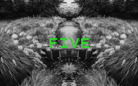 Podcast episode image for the 'Mr Lyttle Meets Mr Big' podcast. A moody black and white photograph of a country stream is mirrored vertically creating a Rorschach like effect with the episode number 'FIVE' overlaid in vibrant green.