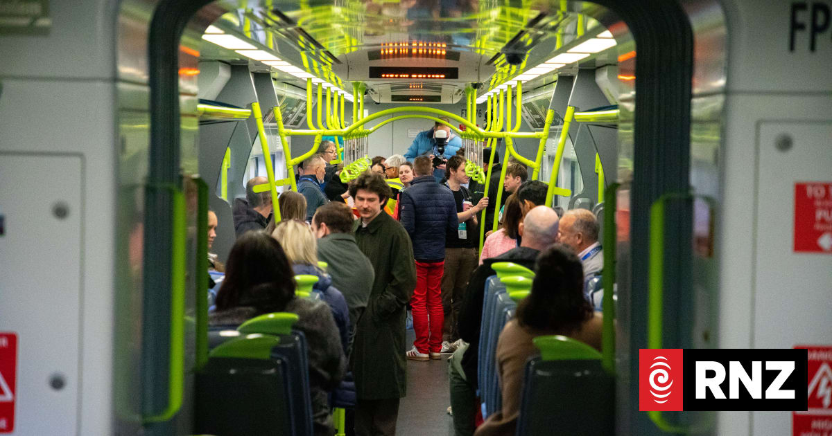Wellington not alone in struggling to get public transport up and running, Dutch expert says
