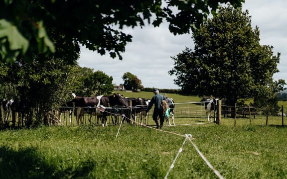 Ruminant BioTech aims to help solve the global methane emissions problem caused by ruminant animals.