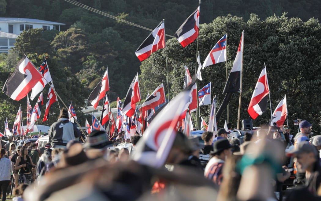 Some of the hikoi that has arrived at Waitangi.