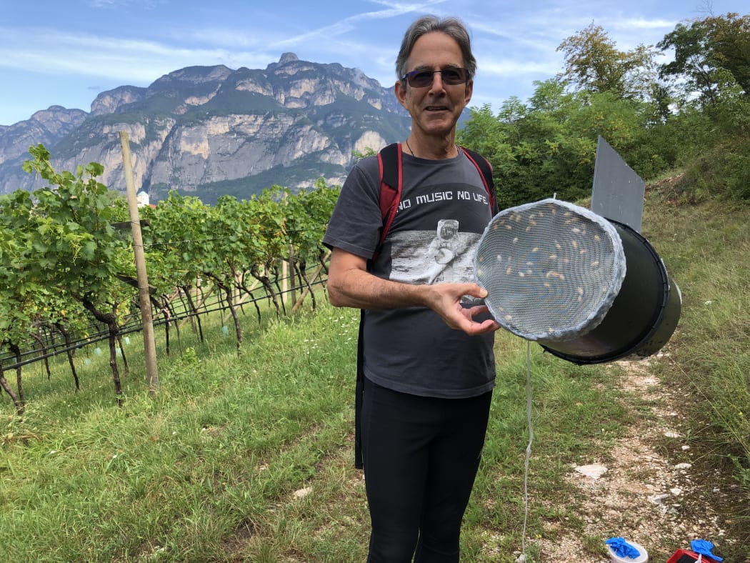 NZ Plant and Food Research scientist Max Suckling in Italy with one of the new live traps his team is working on.