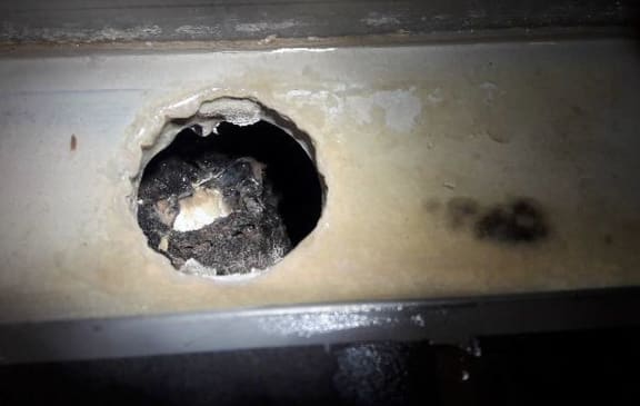 An example of the photos sent to the council showing bacteria buildup beneath tiling at the Woburn development.