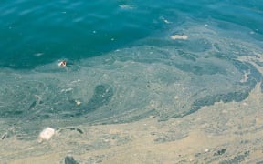Oil spill