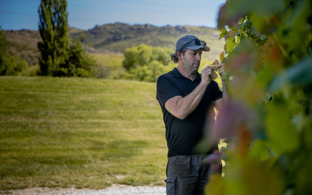 Mike Wing, Two Paddocks' viticulturalist