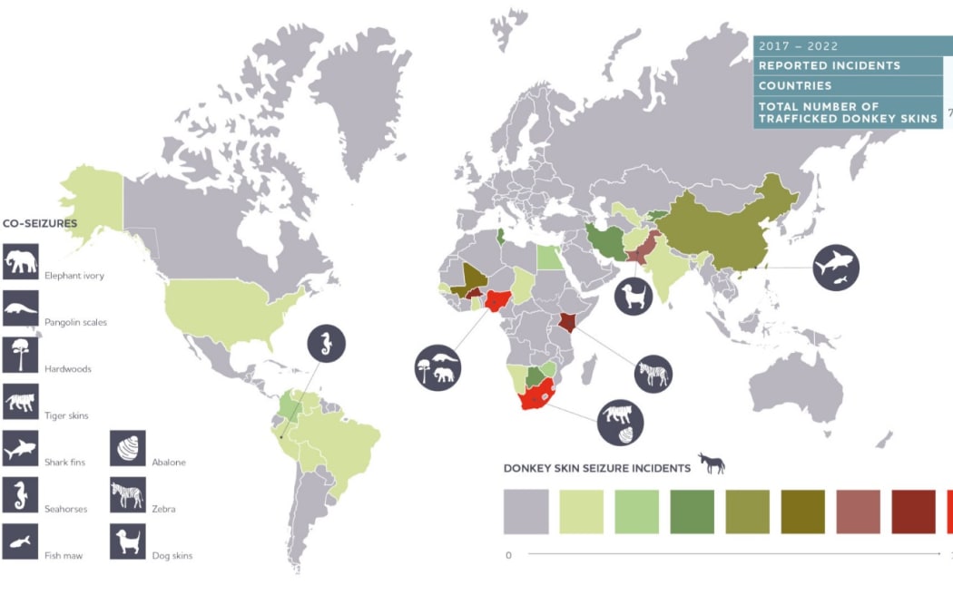 Pictogram showing the trade of donkey skin worldwide.