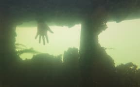 The Ōhau channel diversion wall was built in 2008 to divert polluted nutrient-rich water from Lake Rotorua, which otherwise flowed into Lake Rotoiti through a small channel, but critics say holes from corrosion allows water through.