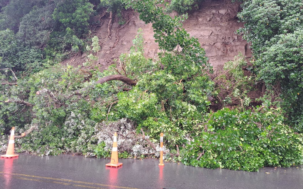 A slip on Ngapipi road, near Tamaki Drive in February 2023.