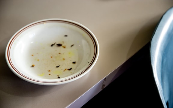 Migrants from Bangladesh rely on charities for food.