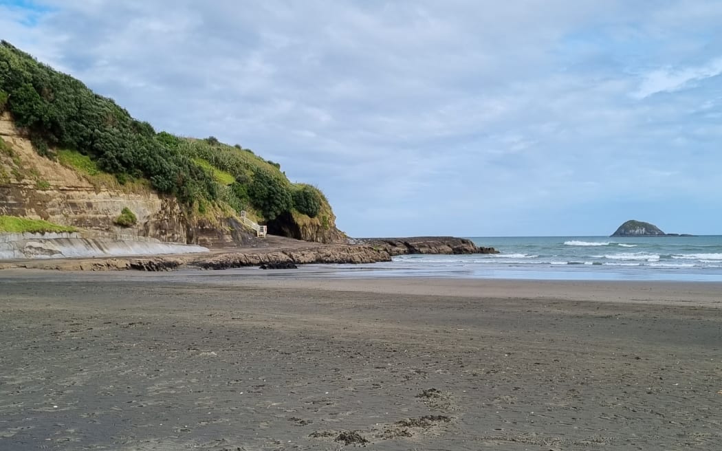 Muriwai Beach.