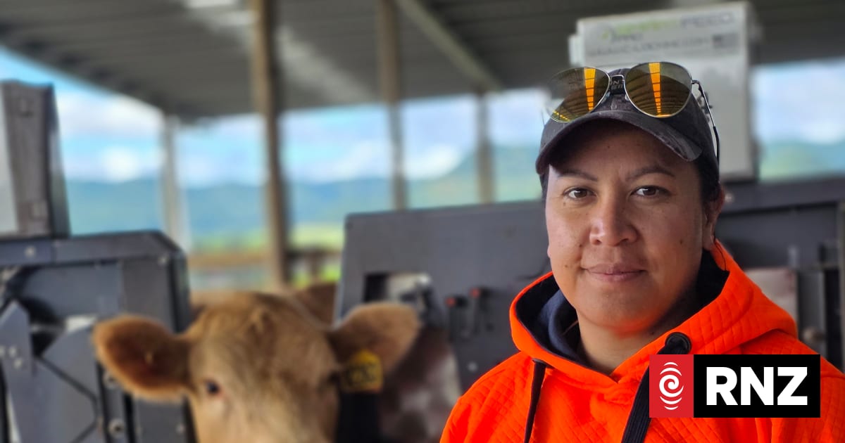 Country Life: Inside Pāmu's methane measurement barn