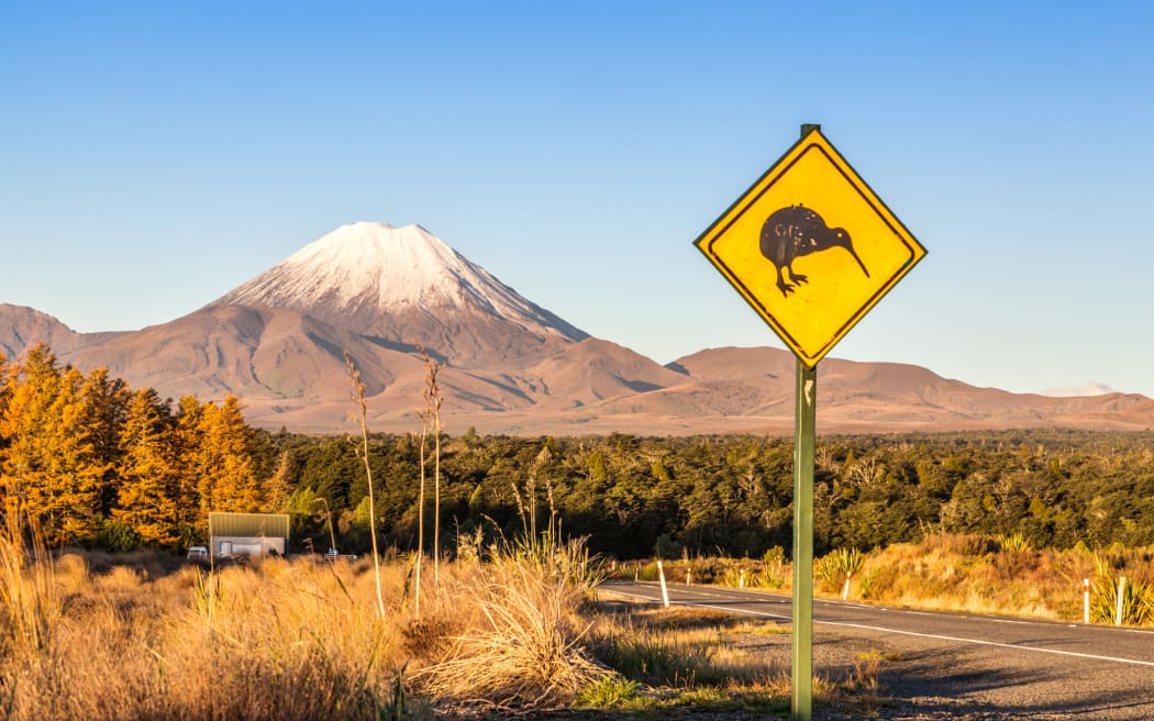 Tongariro National Park, Taupo volcanic zone, North Island, New Zealand