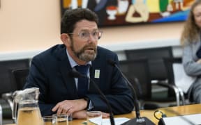 Richard Capie from Forest and Bird gives evidence to the petitions Committee.