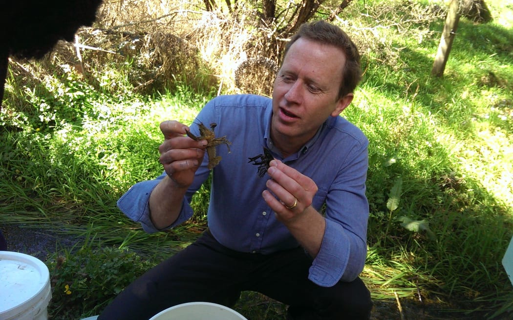 Russel Norman said freshwater crayfish were returning to the farm's creek..