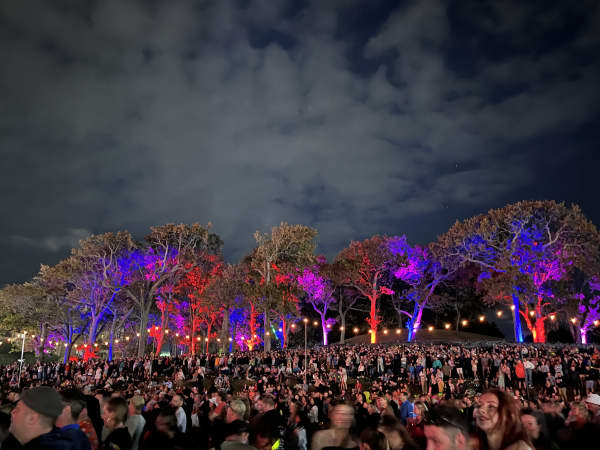 Light show on trees around Auckland Domain during Synthony 2025