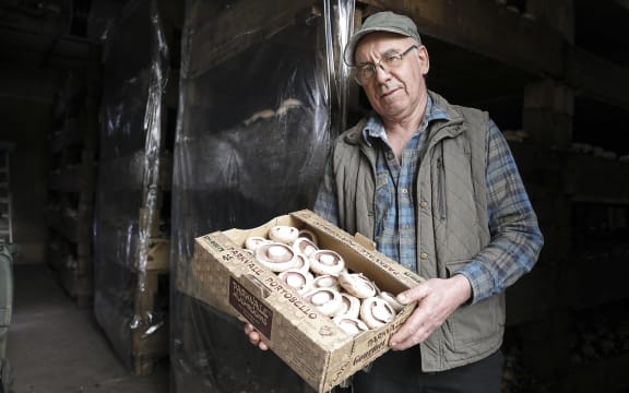 Clive Thompson, owner of Parkvale Mushrooms, with a box of his portobello mushrooms