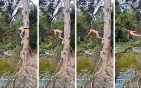 Logan Howard launches himself off the stump of a branch left behind by council contractors at Maraetotara Falls. Now the council is coming back to remove that too.