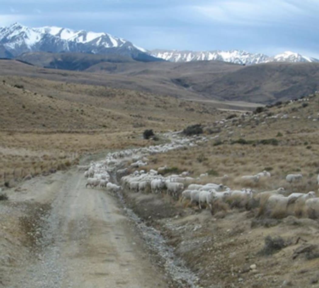 Flock Hill Station.