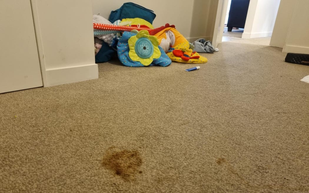 There were dirty stains and mould on the carpets.
