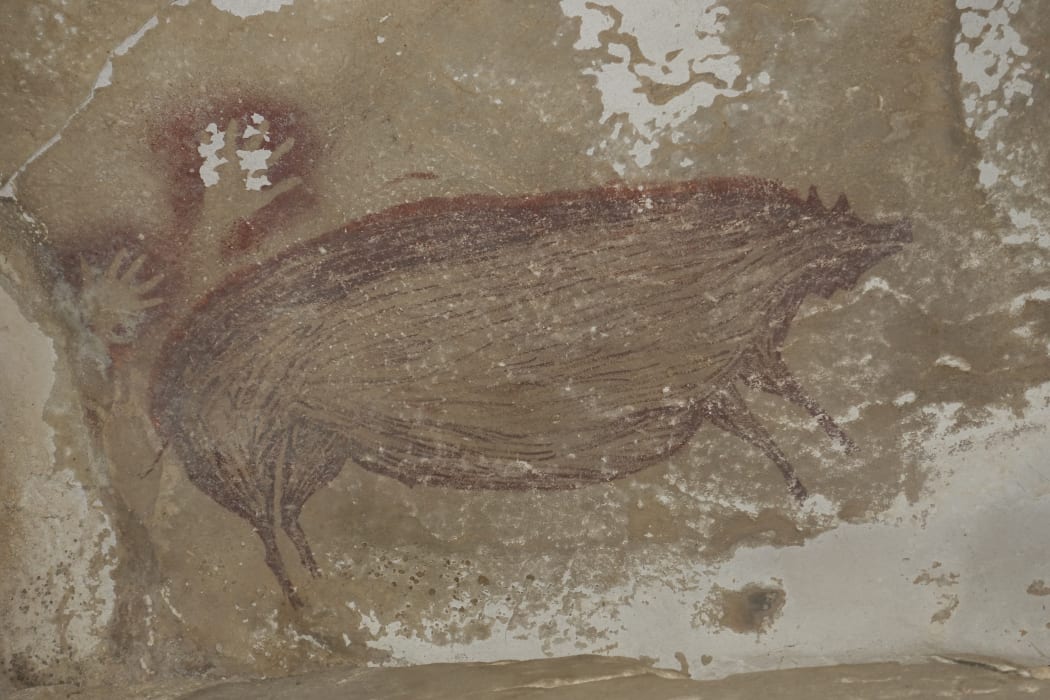 The pig painting believed to have been drawn 45,000 years ago at Leang Tedongnge in Sulawesi, Indonesia.