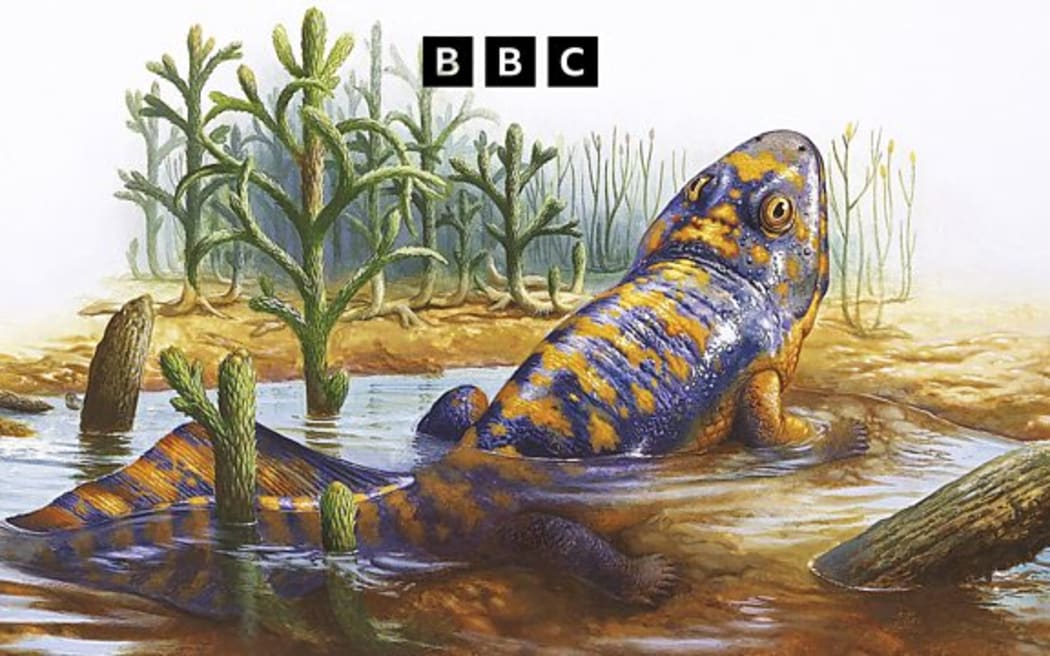 Artwork of a primitive tetrapod.
