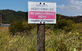 The ancient Opihi Whanaungakore urupa is still used today.