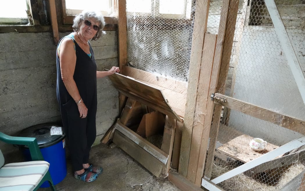 Jane Jackets thought she was seeing things when she discovered a kiwi snoozing in her chickens' nesting box.