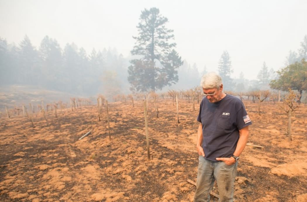 Property owner Chris Schrobilgen stands in his neighbor's burned grape vineyard in Calistoga, California.