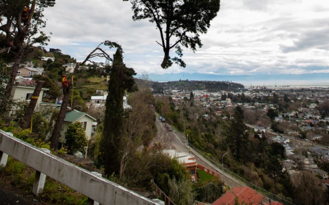Helicopter removed tree from slip site