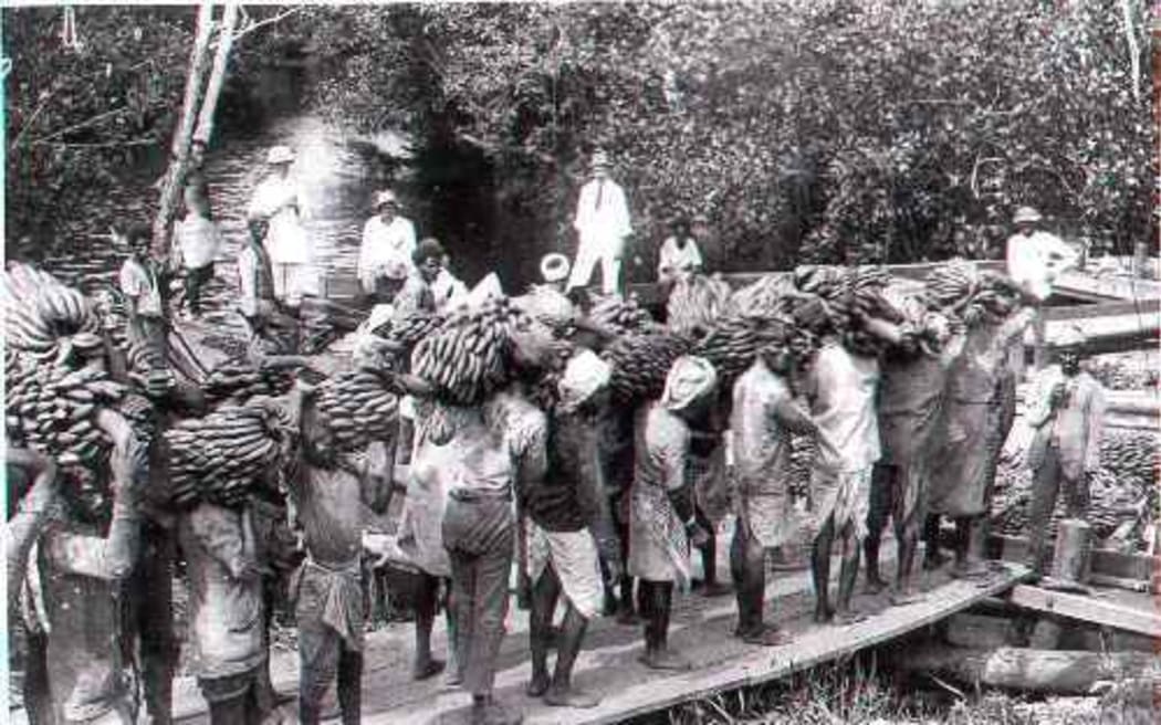 Girmityas at a banana plantation in Fiji (Pictures from INL Archives)