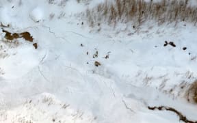 Eight people died in Italy as a result of weekend avalanches.