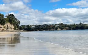 Collecting water samples at Mairangi Bay Beach on Auckland's North Shore.
