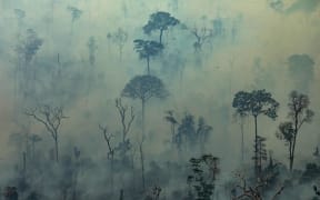 Aerial picture supplied by Greenpeace showing smoke billowing from fires in the Amazon forest, Para State, Brazil.