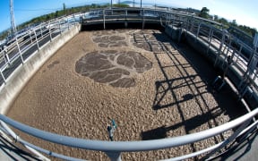 The Rotorua wastewater treatment plant.