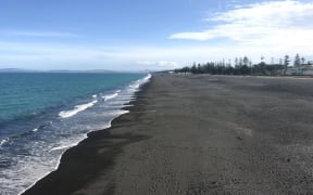 Napier shoreline