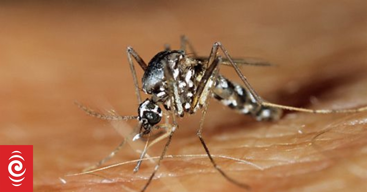 Fiji's Health Ministry declares dengue outbreak in Western Division with 200 cases reported