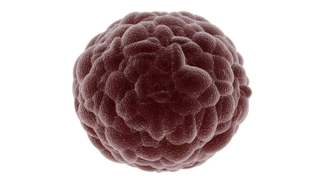 TRH #061  "Fighting Cancer" artwork