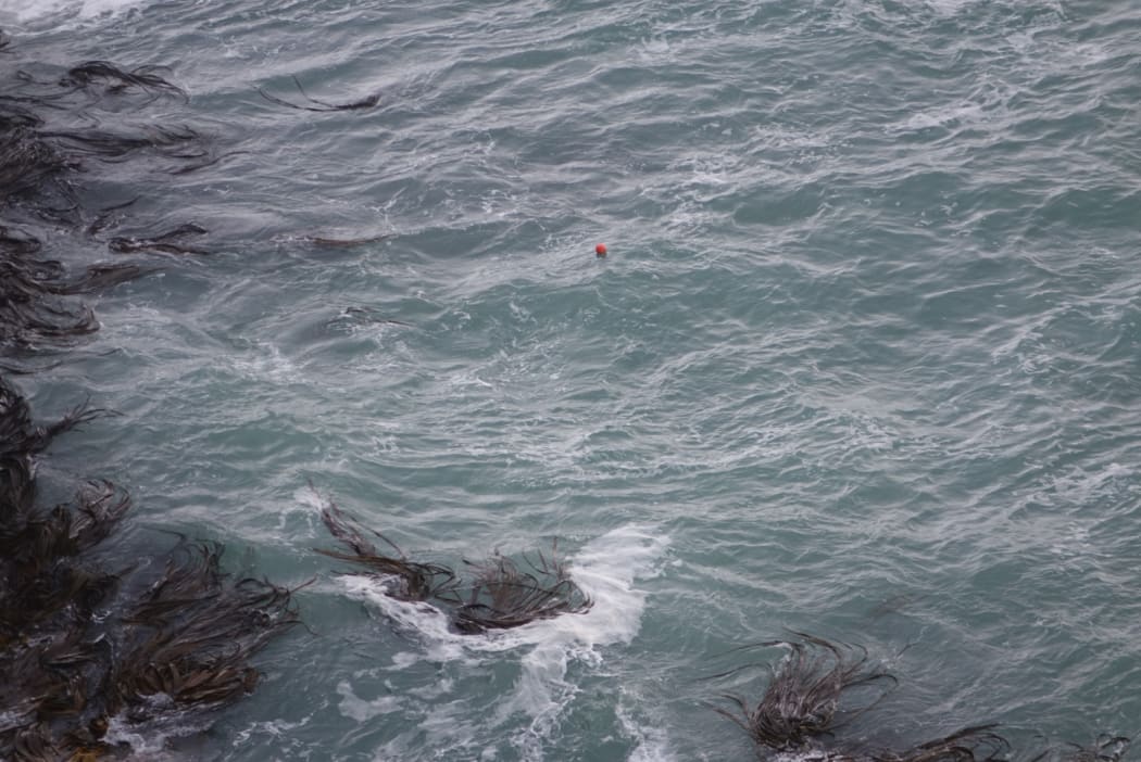 The cove near Curio Bay, with a red buoy to mark the spot where an oil slick was found.