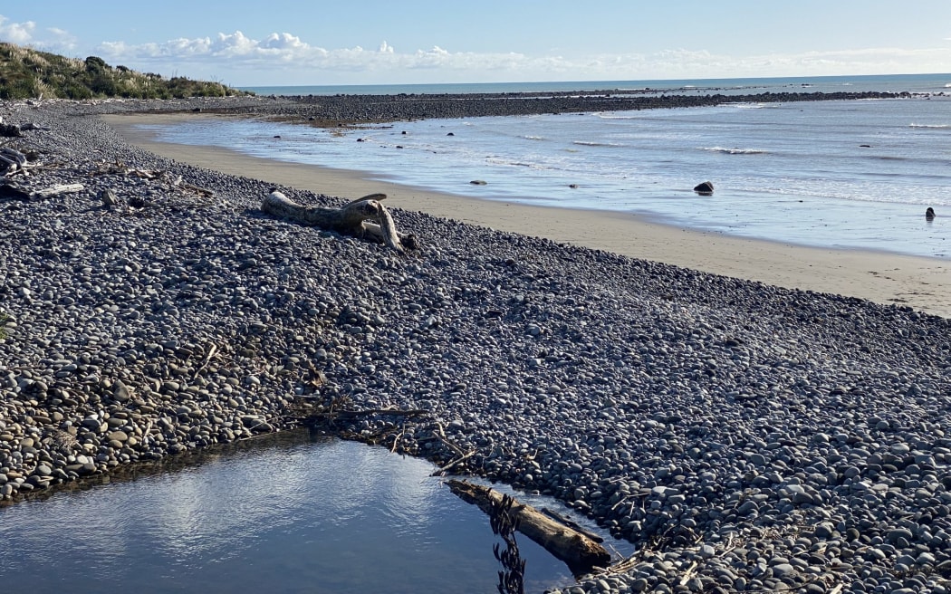 Kaumātua Peter Moeahu says the coast of Mangati E block is still important for fishing and kaimoana gathering.