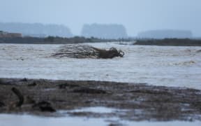 Flooding at Selwyn River on 31 May, 2021 after heavy rainfall.
