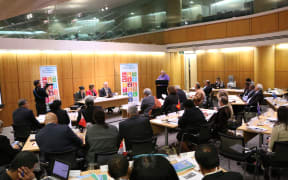 More than 30 delegates from Pacific countries met in Wellington to discuss prioritising sexual and reproductive health in the UN sustainable development goals.