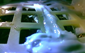 Image sent by China's Chang'e-4 probe shows one of the cotton seeds carried to the moon by the probe has sprouted on the moon.