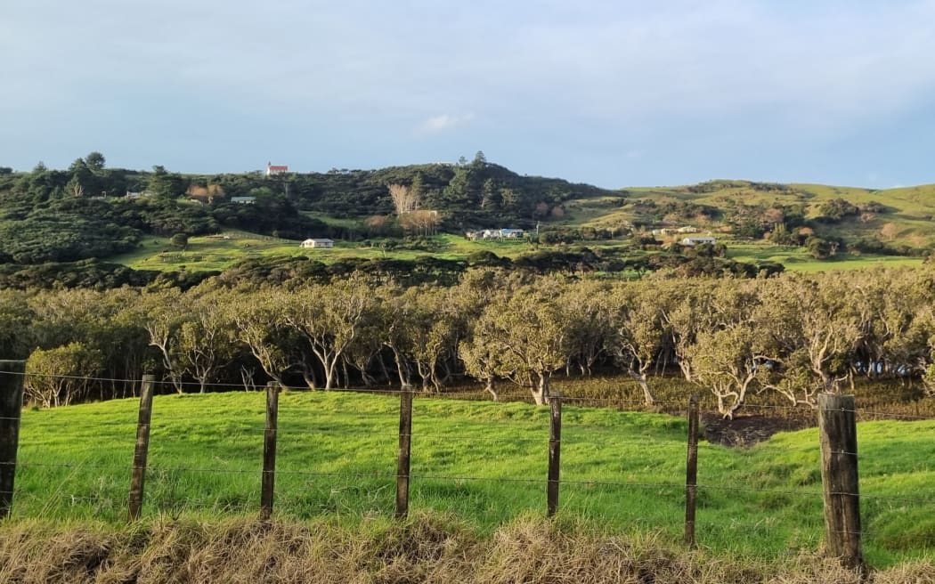 Whangapē settlement