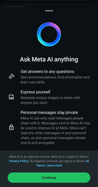 Meta AI's displays a disclaimer for agreement to terms and conditions before users start using the chatbot.