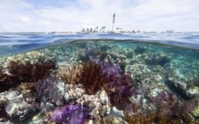 Coral reef with Loggerhead Key Lighthouse in the background, Dry Tortugas National Park, Florida.