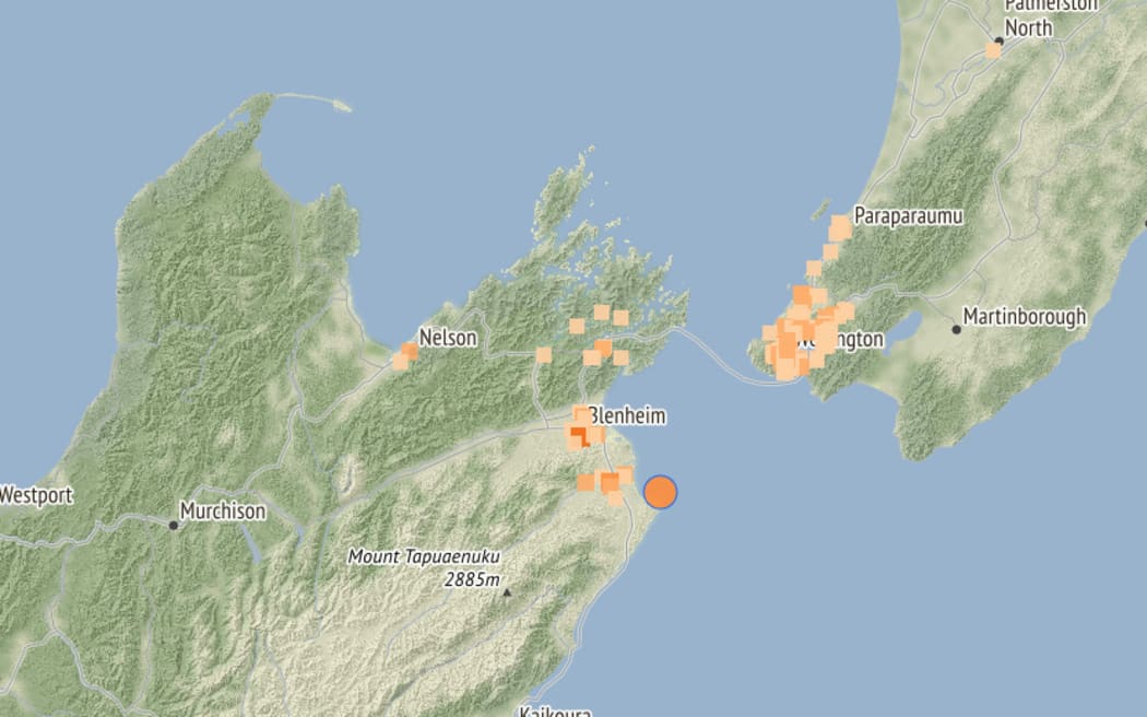 Map showing the location of the quake near Seddon on Wednesday.