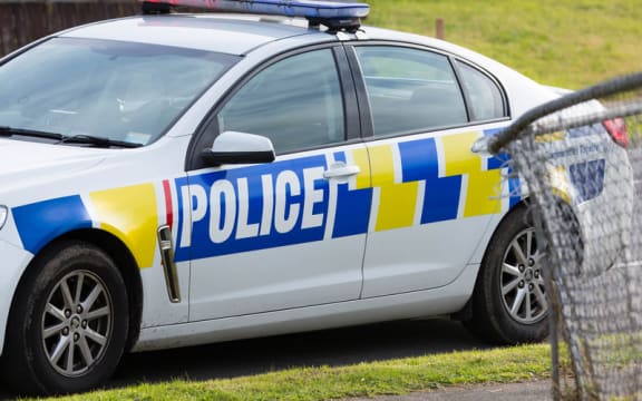 A police car parked on the street.