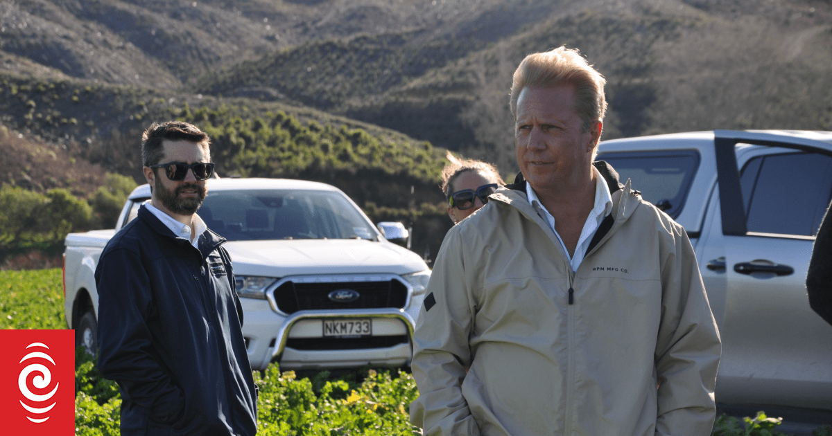 Government launches $500k support package for flood-hit farmers in Tasman